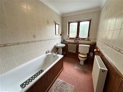 Picture 10